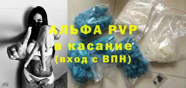 прущие грибы Абдулино