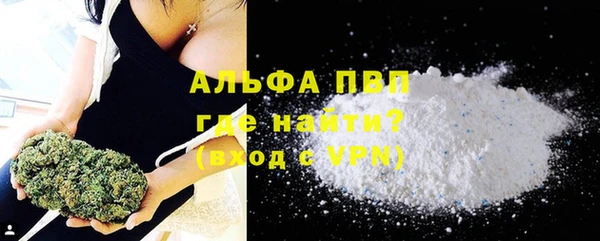 прущие грибы Абдулино