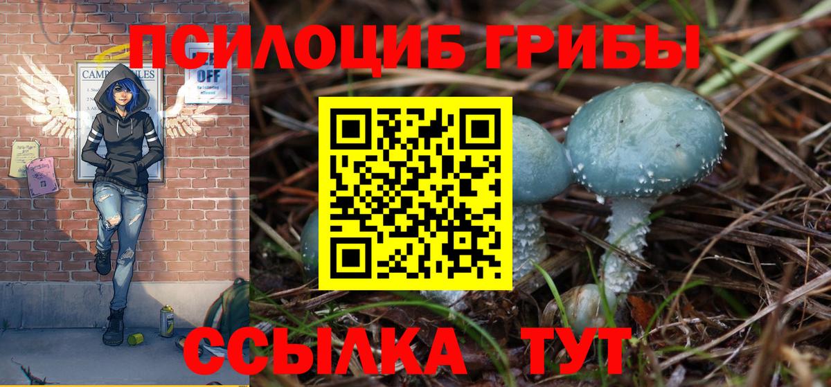 Галлюциногенные грибы мицелий  Вход с VPN  Дятьково 